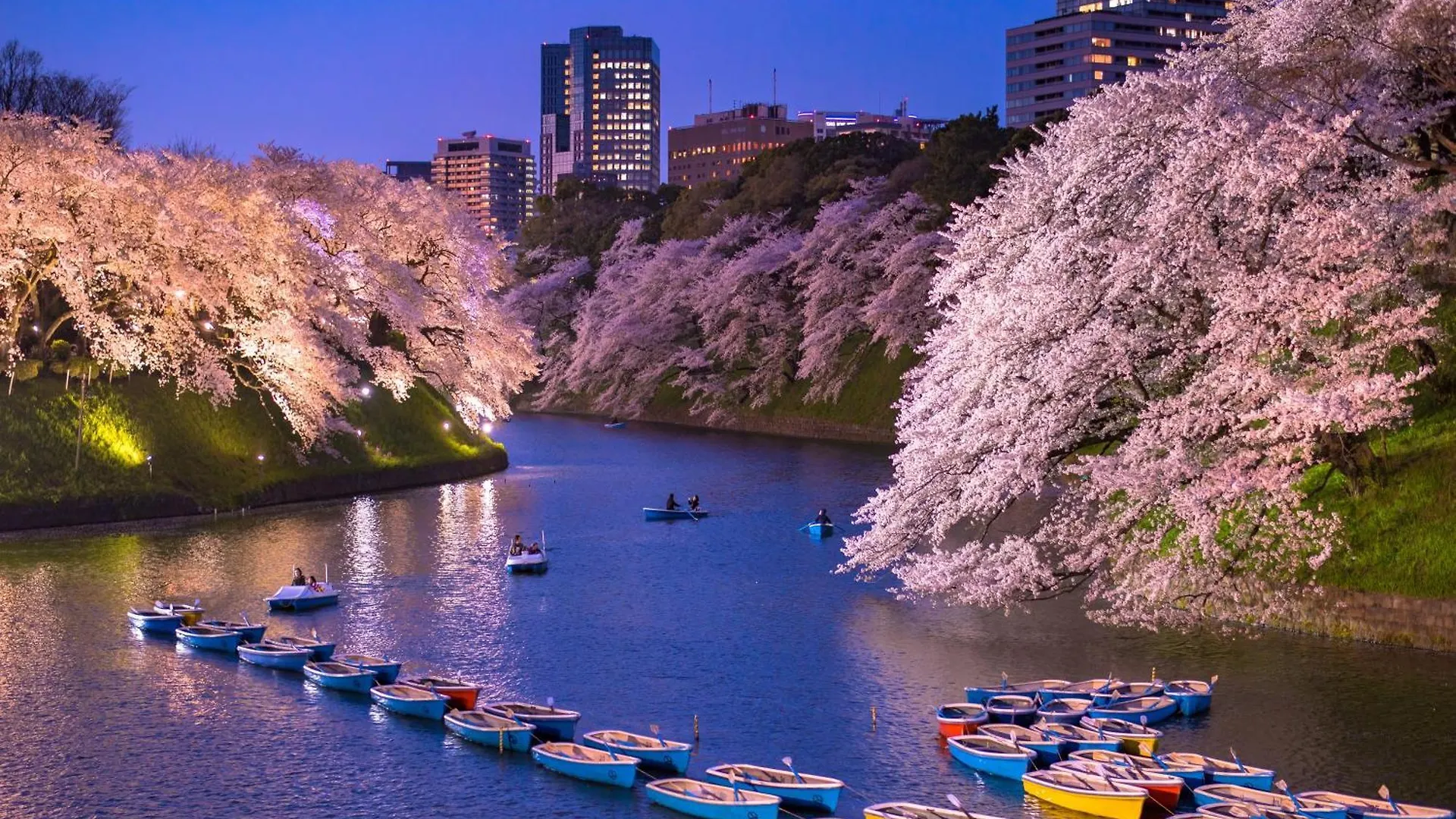 Apa Hotel Iidabashi Ekimae Tokyo
