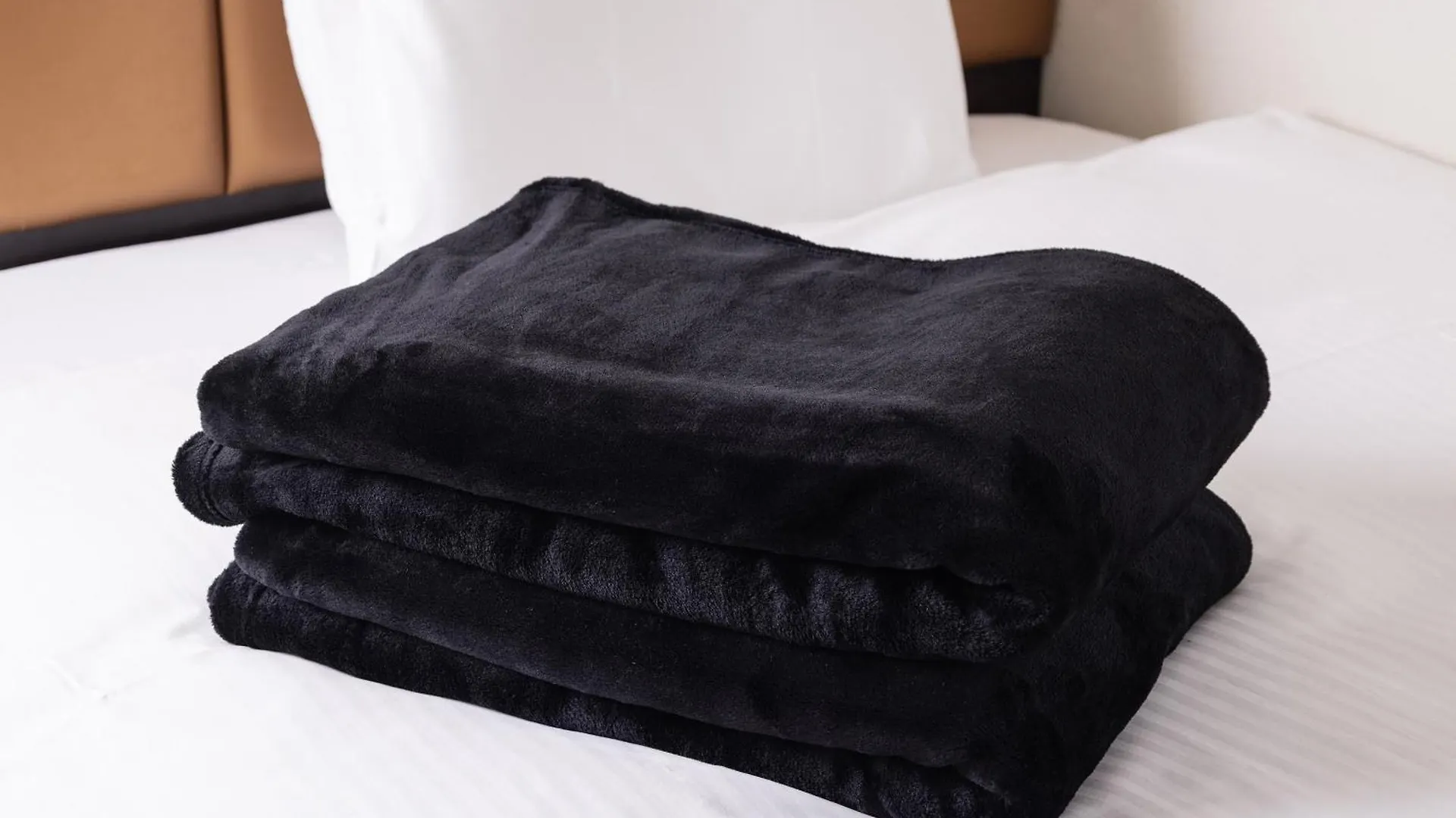 ***  Apa Hotel Iidabashi Ekimae Tokio Japan