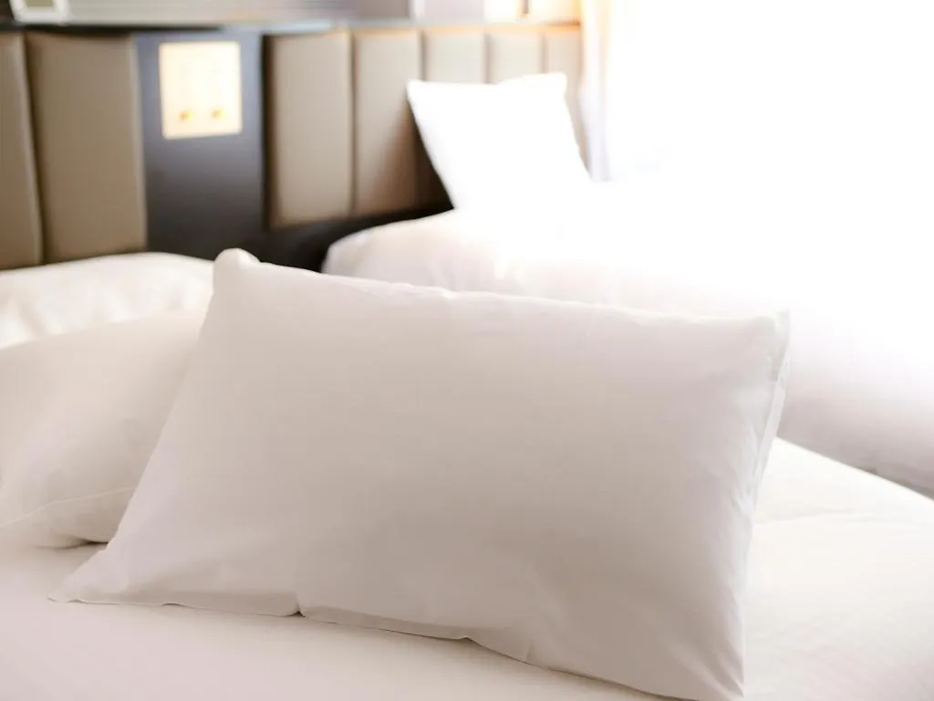 Apa Hotel Iidabashi Ekimae Tokio 3*,  Japón